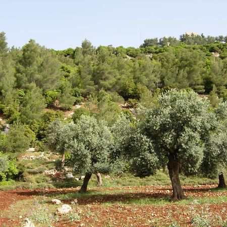 Ajloun Hotel Eksteriør bilde