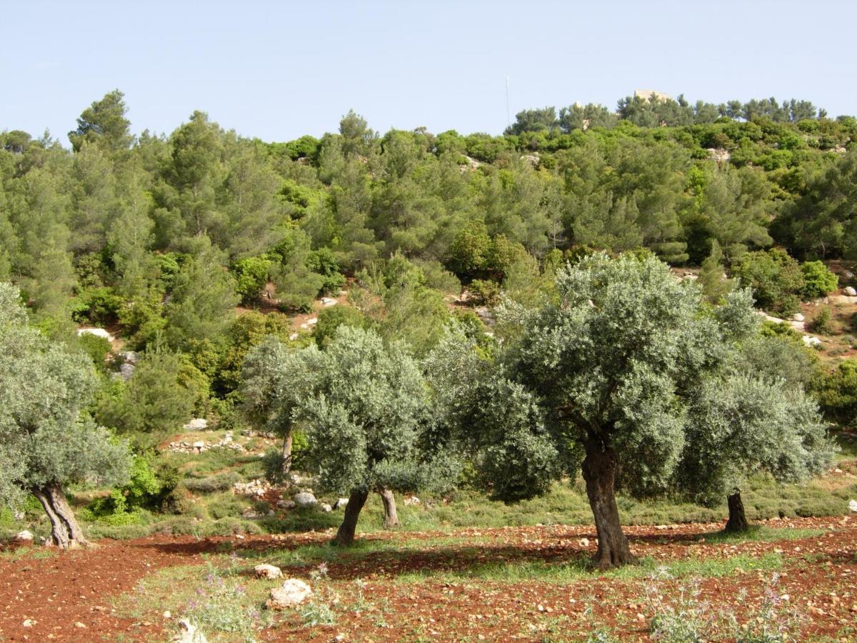 Ajloun Hotel Eksteriør bilde