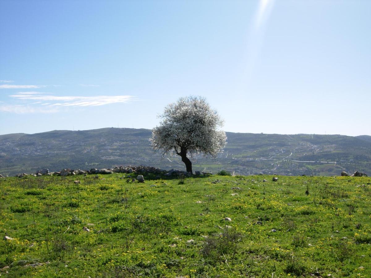 Ajloun Hotel Eksteriør bilde