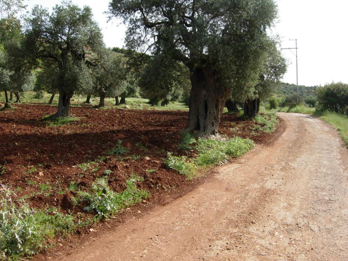 Ajloun Hotel Eksteriør bilde